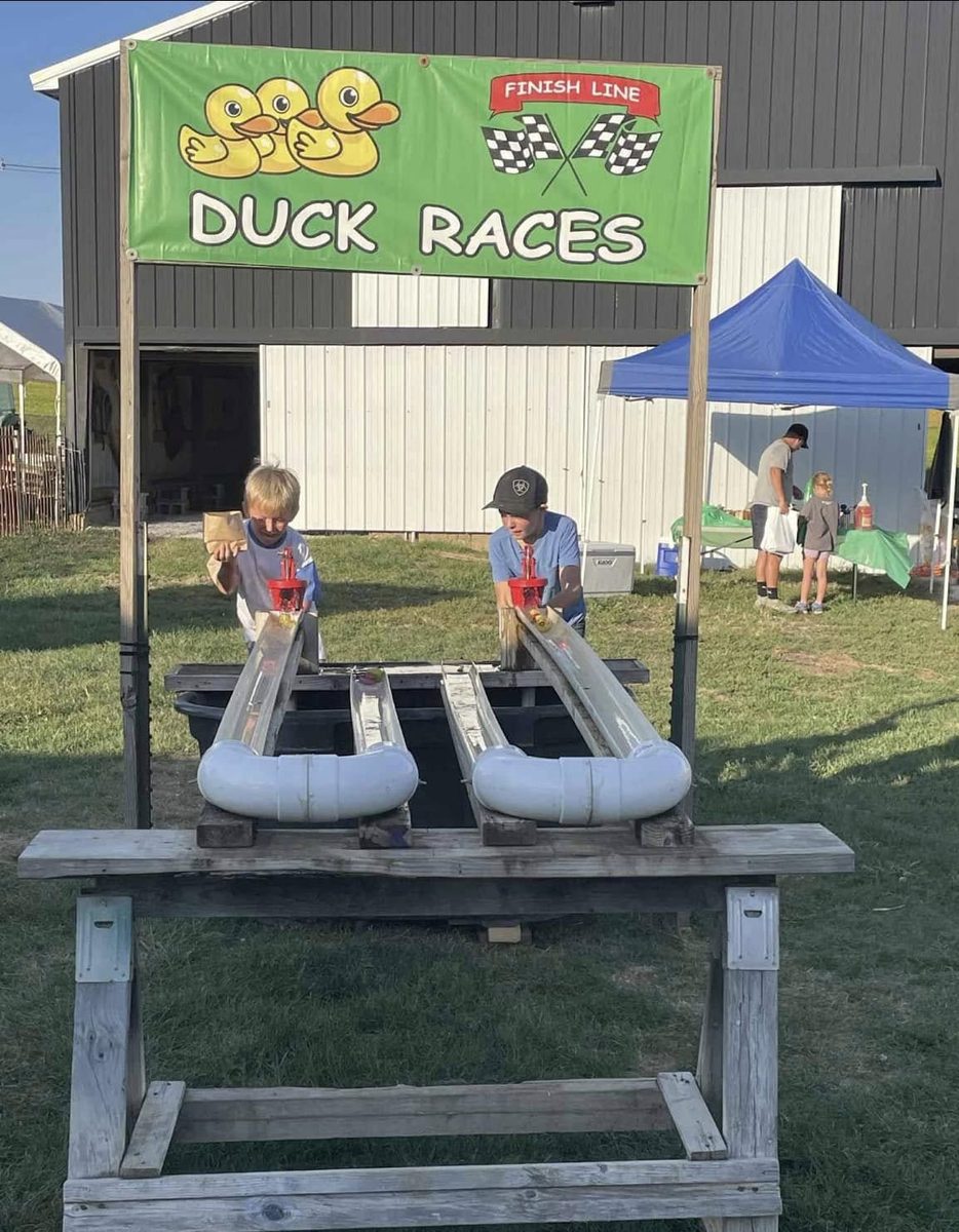Rubber duck races