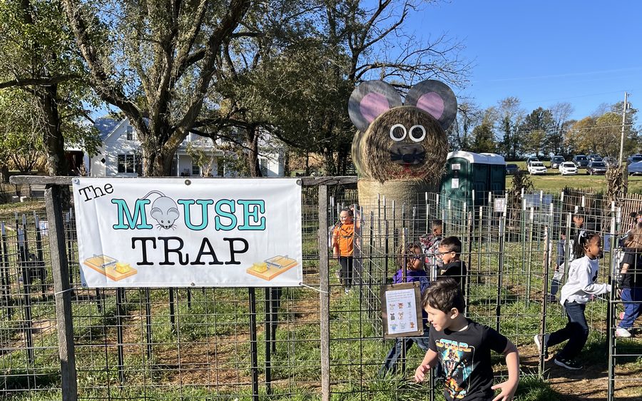 The Mouse Trap maze