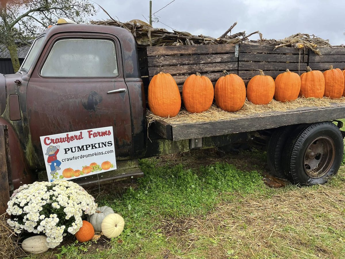 Vintage truck photo stop