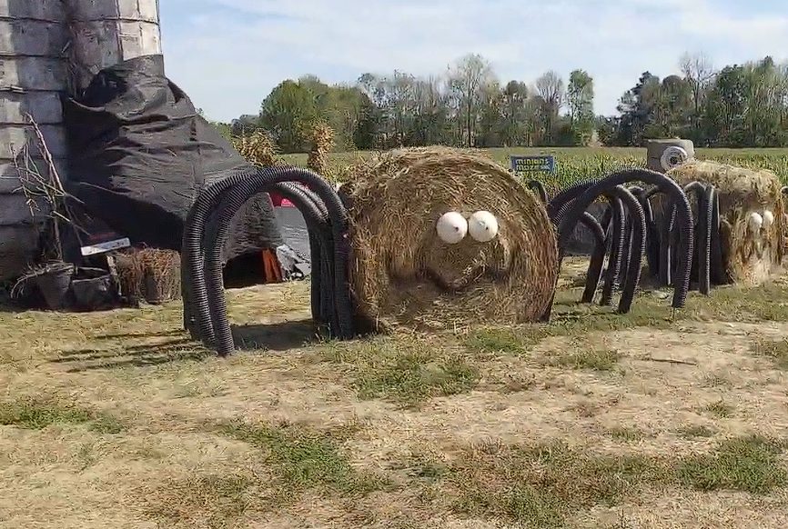 Spiders Lair tunnel